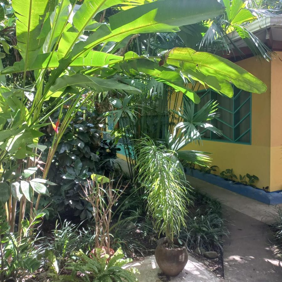 Cabinas Guarana Puerto Viejo de Talamanca Ngoại thất bức ảnh